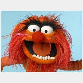 muppet show characters pictures and names