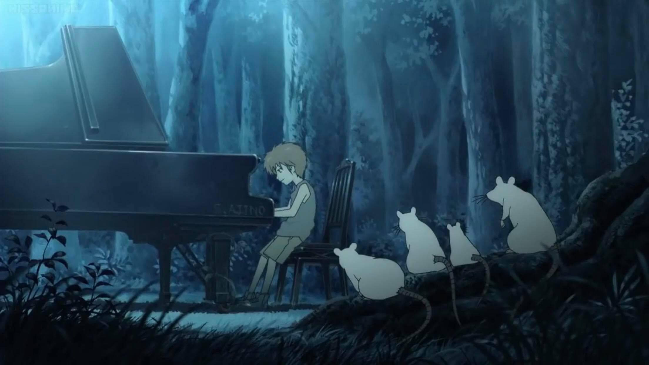 The 13 Best Anime Like Your Lie In April Recommendations List