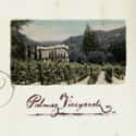 Palmaz Vineyards on Random Best Wineries in Napa Valley