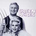 Green Acres on Random TV Shows Canceled Before Their Time