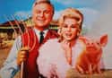 Green Acres on Random Greatest Sitcoms from the 1960s