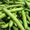 Green bean on Random Tastiest Vegetables Everyone Loves Eating