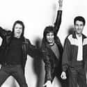 Rock music, Garage rock, Dance-rock   The Greg Kihn Band is an American band that was started by frontman Greg Kihn and bassist Steve Wright.