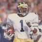 Greg McMurtry is listed (or ranked) 25 on the list The Best New England Patriots Wide Receivers of All Time