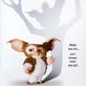 Gremlins on Random 'Old' Movies Every Young Person Needs To Watch In Their Lifetim
