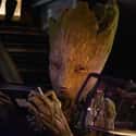 Groot on Random Members Of MCU Whose Ages You Were Totally Wrong About