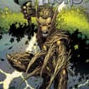 Groot on Random Top Marvel Comics Superheroes