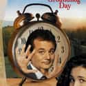 Bill Murray, Andie MacDowell, Michael Shannon   Groundhog Day is a 1993 American fantasy comedy film directed by Harold Ramis, starring Bill Murray, Andie MacDowell, and Chris Elliott.