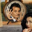 Bill Murray, Andie MacDowell, Michael Shannon   Groundhog Day is a 1993 American fantasy comedy film directed by Harold Ramis, starring Bill Murray, Andie MacDowell, and Chris Elliott.