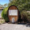Schug Carneros Estate Winery on Random Best Wineries in Sonoma Valley