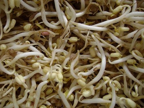Bean sprouts on Random Best Things to Put in Ramen