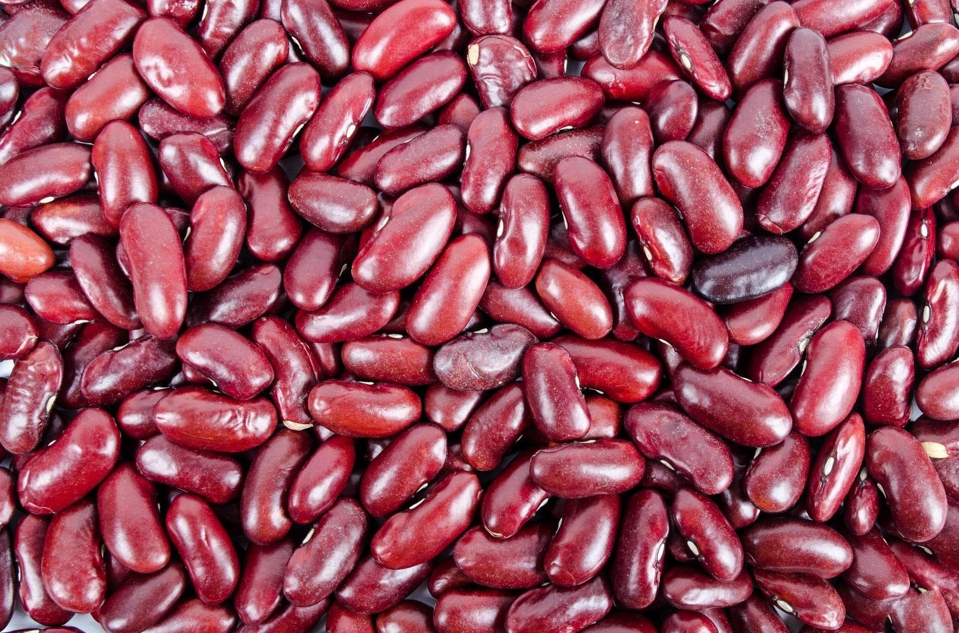 Foods That Could Kill You Ranked