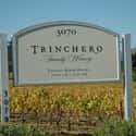 Trinchero Family Estates on Random Best Wineries in Napa Valley