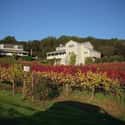 Arrowood Vineyards and Winery on Random Best Wineries in Sonoma Valley