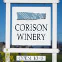 Corison Winery on Random Best Wineries in Napa Valley