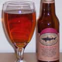 Dogfish Head 90 Minute IPA on Random Best American Domestic Beers