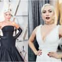 Lady Gaga on Random Celebrities With Signature Poses They Pull For Photographs