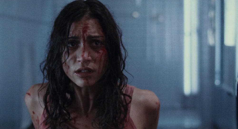 16 Disturbing Horror Movies With Graphic Gore, Ranked