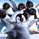 Happy Feet on Random Best Cartoon Movies of 2000s