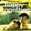 Happy Together on Random Best LGBTQ+ Drama Films