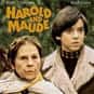 Harold and Maude is listed (or ranked) 45 on the list Roger's Top 60 Hot & Spicy Cougar Movies