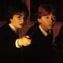 Harry Potter and the Chamber of Secrets on Random Movies That Actually Taught Us Something