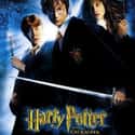 2002   Harry Potter and the Chamber of Secrets is a 2002 fantasy film directed by Chris Columbus and distributed by Warner Bros. Pictures. It is based on the novel of the same name by J. K.
