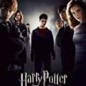 Harry Potter and the Order of the Phoenix on Random Best Gary Oldman Movies