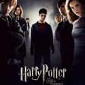 Harry Potter and the Order of the Phoenix on Random Best Rainy Day Movies