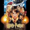 Harry Potter and the Sorcerer's Stone on Random Great Movies About Male-Female Friendships