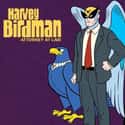 Stephen Colbert, Paget Brewster, Gary Cole   Harvey Birdman, Attorney at Law is an American animated television series comedy created by Michael Ouweleen and Erik Richter for Adult Swim.