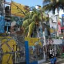 Havana on Random Best Cities for Artists