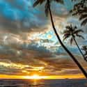 Hawaii on Random Best State Nicknames