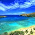 Hawaii on Random Best Scuba Destinations In World