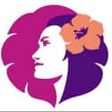 Hawaiian Airlines, Inc. on Random Best Airlines for International Travel