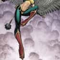Hawkgirl on Random sort Each Justice League Member Into Hogwarts Hous