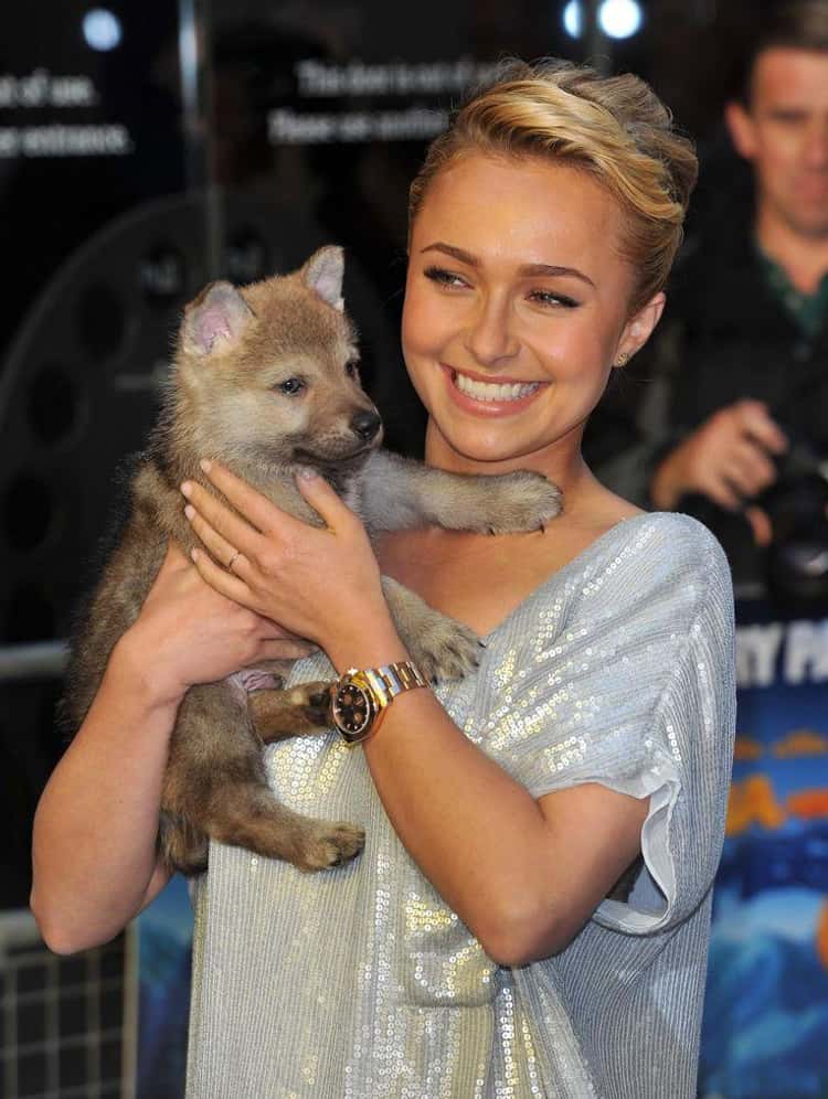 Celebrities Who Fight for Animal Rights | List of Famous People Who Support  Animal Rights