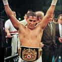 Lightweight, Super featherweight, Light welterweight   Héctor Luís Camacho Matías, nicknamed Macho Camacho, was a Puerto Rican professional boxer and singer.