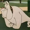 Hector the Bulldog on Random Best Looney Tunes Characters