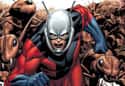 Ant-Man (Henry Pym) on Random Best Comic Book Superheroes