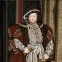 Henry VIII of England on Random Firsthand Descriptions Of Historical Royals Really Looked Like