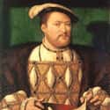 Henry VIII of England on Random Drink Of Choice Was For Historical Royals