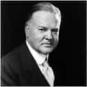 Herbert Hoover on Random Historical Figures Who Lived A Lot Longer Than You Thought