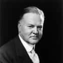 Herbert Hoover on Random US President’s Favorite Food