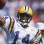 Herb Tyler is listed (or ranked) 8 on the list The Best LSU Tigers Quarterbacks of All Time