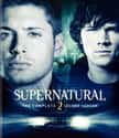 Supernatural - Season 2 on Random Best Seasons of 'Supernatural'