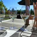 Sonoma-Cutrer Vineyards on Random Best Wineries in Napa Valley