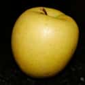 Golden Apple on Random Most Delicious Fruits
