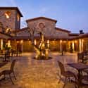 Jacuzzi Family Vineyards on Random Best Wineries in Sonoma Valley
