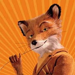 Foxy, Five Nights at Freddy's Animatronic Guidance Wiki